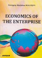 Economics of the enterprise