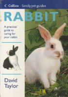 Rabbit - A practical guide to caring for your rabbit